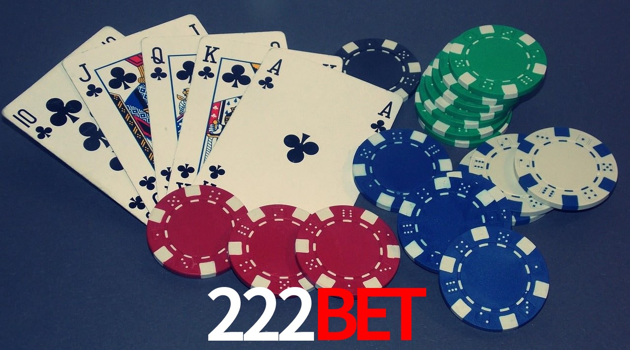 Experiência VIP 222bet
